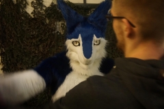 DSC06978_t