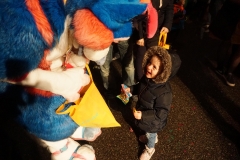 DSC08198_t
